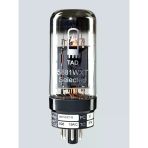 Artec 6000188 6l6 Lambalı Amfi Lambası | Yüksek Çıkış Gücü Sıcak Analog Ton Klasik Rock Karakteri