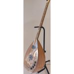 Artemis Elektro Bağlama (Leslili) Model-5