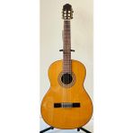 Artemis Profesyonel Klasik Gitar