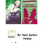 Artemis Yayınları Karanlık Işık + Tuhaf Bir Yılbaşı Öyküsü + Bir Noel Şarkısı - Hayır