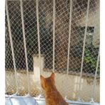 Artı 3 Mtx10 Mt 2,5 Cm Gözaralıklı Balkon Kuş Kedi Filesi Ağı