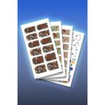Artikel 4'lü Tırnak Dövmesi Seti, Tırnak Sticker Seti, Nail Art, Tattoo