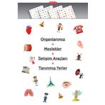 ARTİKEL MDF Montessori Oyunu Eşleştirme Oyun Kartları 4 Adet Meslekler Oyun Kartı, Hafıza Kartı