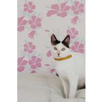 Artikel ST-852 Japon Gülü 3 Stencil Tasarımı 30x30 cm Kanvas Tablo