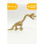 Artimon 3D Store Hareketli Brachiosaurus 3D İskelet Dinozor | Oyuncak Dinozor | Dinozor Figür | İskelet Dinozor
