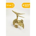 Artimon 3D Store Hareketli Pterodaktil 3D İskelet Dinozor