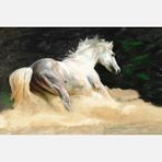 Artist AN-005 60x90 cm Kanvas Tablo