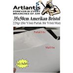 Artlantis Amerikan Bristol Karton 35 x 50 cm 10 Adet 220 gr Bir Tarafı Parlak Bir Tarafı Mat Kağıt Biristol Karton - Beyaz - Standart - 35X50cm