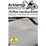 Artlantis Amerikan Bristol Karton 35 x 50 cm 50 Adet 220 gr Bir Tarafı Parlak Bir Tarafı Mat Kağıt Biristol Karton - Beyaz - Standart - 35X50cm