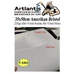 Artlantis Amerikan Bristol Karton 35x50 cm 5 Adet 220 gr Bir Tarafı Parlak Bir Tarafı Mat Kağıt Biristol Karto