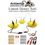 Artlantis Elektrik Limon Deney Seti 1 Paket Limondan Elektrik Üretme Seti Limon Pili Fen Bilgisi Dersi Kimyasal Enerji - Renkli - Standart