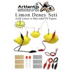 Artlantis Elektrik Limon Deney Seti 3 Paket Limondan Elektrik Üretme Seti Limon Pili Fen Bilgisi Dersi Kimyasa