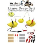 Artlantis Elektrik Limon Deney Seti 3 Paket Limondan Elektrik Üretme Seti Limon Pili Fen Bilgisi Dersi Kimyasal Enerji - Renkli - Standart