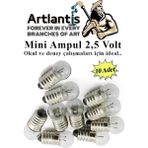 Artlantis Mini Ampul 2,5 Volt 10 Adet 1 Paket Küçük Elektrik Deney Ampulü 2.5 V Okul Sınıf Elektrik Devre Deney Ampulü - Sarı - Standart