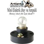 Artlantis Mini Duy ve Mini Ampul 1 Adet Elektrik Deney Duyu ve Ampulü 2.5 V Amup Yuvası Devre Proje Etkinlik Okul Sınıf - Çok Renkli - Standart