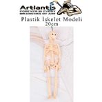 Artlantis Plastik Iskelet Modeli 20 cm 1 Adet Plastik Insan Isket Modeli Silikon Iskelet Deneyi Araba Süsü - Krem - Standart - 20cm