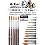 Artlantis Resim Fırçası 5 Numara 5 Li 1 Paket Samur Yuvarlak Uçlu Fırça Seti Guaj Sulu Akrilik Yağlı Boya Fırçaları - Standart - Naturel