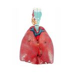 Artlantis Solunum Sistemi Modeli 1 Adet 38x25 cm Akciğer Maketi Larinks ve Tiroid Modeli Anatomik Deney Bilim Tıbbi Model