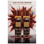 ArtMaster Kahverengi Sprey Boya 200 ml 2 Adet Südor Hızlı Kuruyan Renkli Profesyonel Canlı Renk Ahşap Plastik Demir Metal Porselen