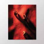 Arty Tablo Kuru Çiçekler Tablo Amz-Art199-X 40X50