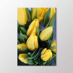 Arty Tablo Sarı Laleler Tablo Amz-Abd138-X 40X60