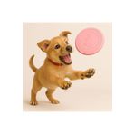 ArvenToys Evcil Hayvan Frizbi - Disk Köpek Oyuncağı - Frizbi Köpek Oyunu - Pet Frizbi - Frisbee - Frizbi Pet