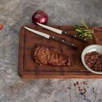 Aryıldız Ligna 2 Parça Steak Bıçağı 11 cm