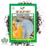 Arzuman 10 gr Balkabağı Tohumu