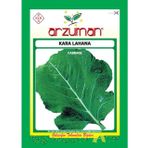 Arzuman 10 gr Sebze Kara Lahana Tohumu