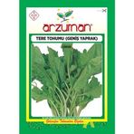 Arzuman 10 gr Tere Geniş Yaprak