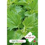 Arzuman 100 Adet Isırgan Çiçek Tohumu