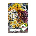 Arzuman 20 Adet Meramlı Kız Gazania Splendens Çiçek Tohumu