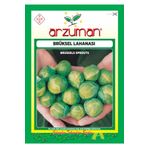 Arzuman 200 Adet Brüksel Lahanası Tohumu