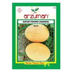 Arzuman 25 gr Organik Kavun Tohumu Ananas Tipi