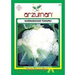 Arzuman 300 Adet Karnabahar Tohumu