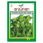 Arzuman 3x25 gr Maydanoz Tohumu