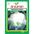 Arzuman 500 Adet 10 Gr Karnabahar Tohumu