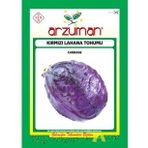 Arzuman 500 gr Kırmızı Lahana Tohumu