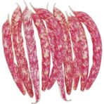 Arzuman 50gr Oturak Barbunya Tohumu