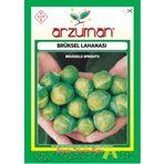 arzuman Brüksel Lahanası Tohumu 1 Paket Lahana Tohumu