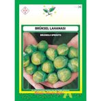 Arzuman Brüksel Lahanası Tohumu 10 G