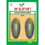 Arzuman Hıdır Kavun Tohumu 10 G