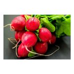 Arzuman İri Kırmızı Turp 10 gr Tohum