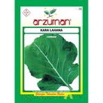 Arzuman Kara Lahana Tohumu 10 G