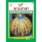 Arzuman Kavun Tohumu ALınbaşKırkağaç 637 250 Adet Tohum