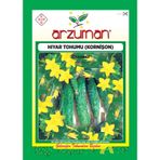 Arzuman Kornişon Turşuluk Hıyar Salatalık Tohumu 10 G 100 Adet