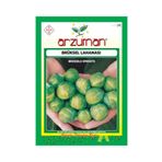 Arzuman Sebze Brüksel Lahana Tohumu