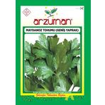 Arzuman Sebze Geniş Yaprak Maydonoz Tohumu