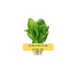 Arzuman Tohumculuk Ispanak Tohumu (AÇIK)50g