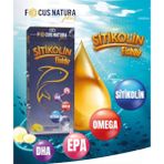 Asbien Focus Natura Plus Sitikolin Balık Yağı 200 ml EPA DHA İçerikli Besin Takviyesi - Limon